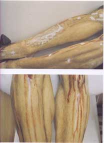 Estucado